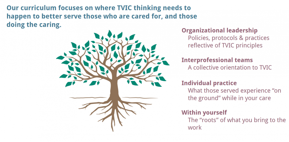 TVIC-Foundations.png